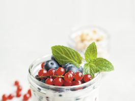 how do yogurt makers work